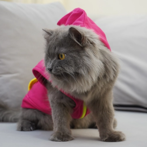 Skatrs Pop Breezy Vest with Pockets for Dogs and Cats (Pink)