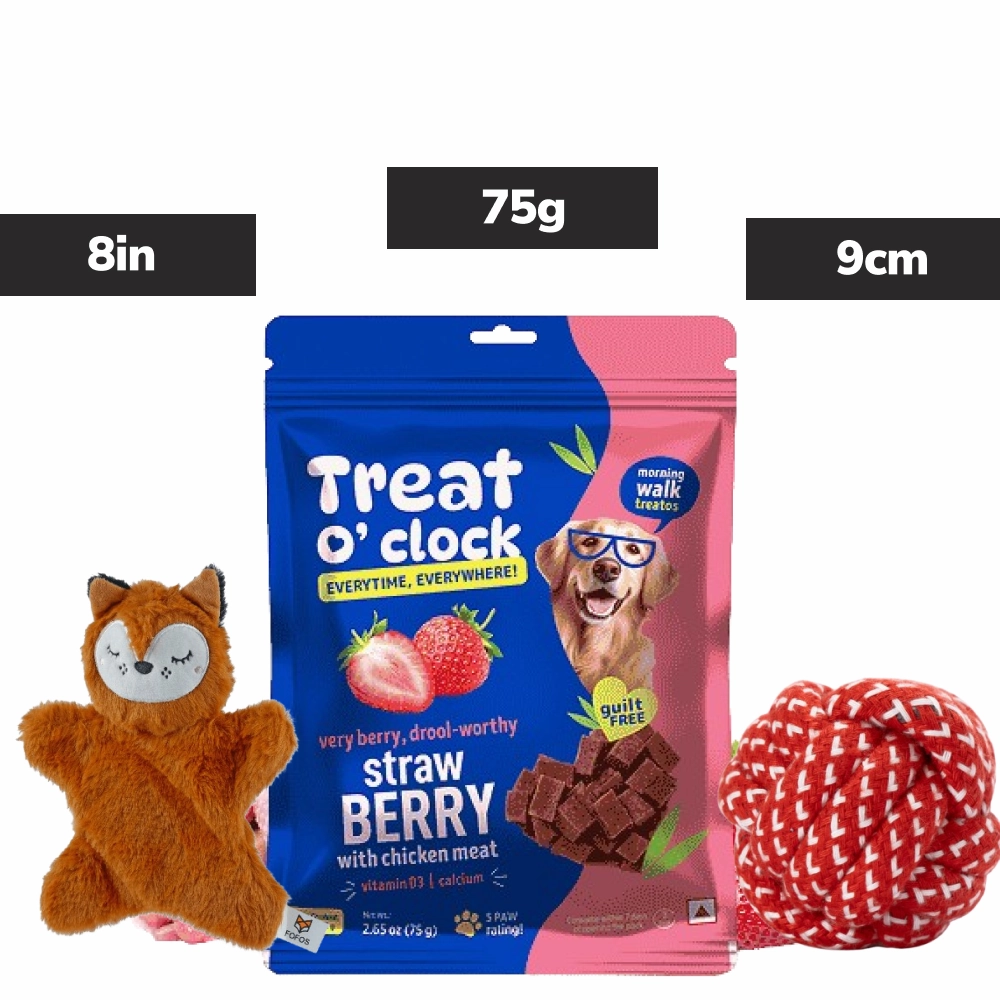 Skatrs Rope Ball Toy, Barkbutler x Fofos Plush Fox & Natural Remedies Strawberry Chicken Dog Combo