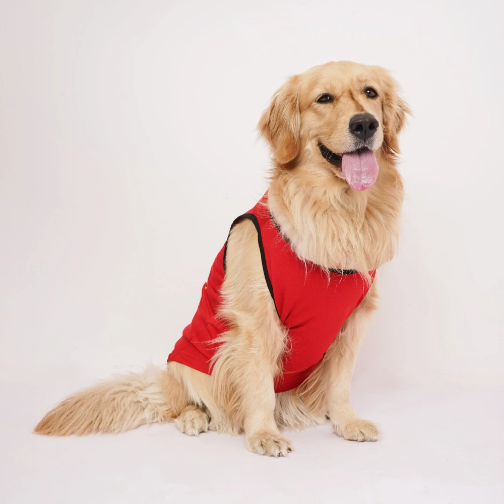 Skatrs Royal Cuddly Buddies Cricket Jersey for Dogs and Cats (Red)