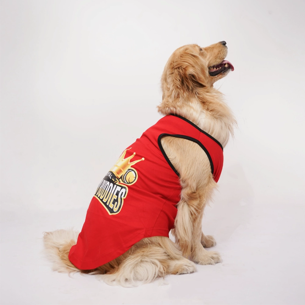 Skatrs Royal Cuddly Buddies Cricket Jersey for Dogs and Cats (Red)