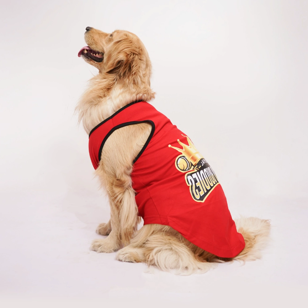 Skatrs Royal Cuddly Buddies Cricket Jersey for Dogs and Cats (Red)