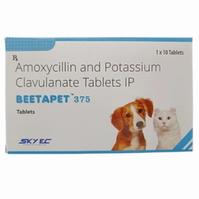 Skyec Beetapet Tablet 375mg for Dogs and Cats