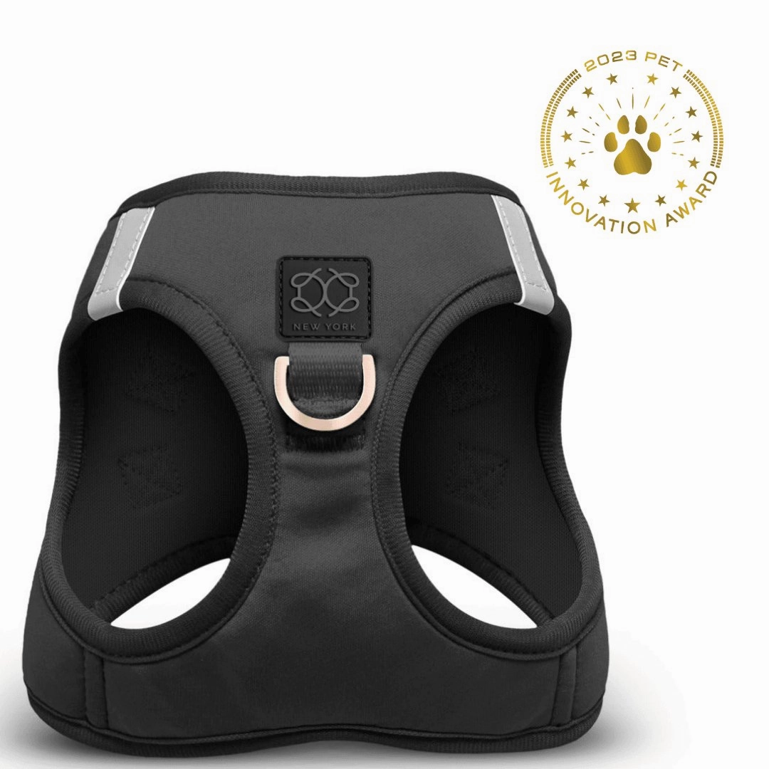 SoHo Dog Harness Black