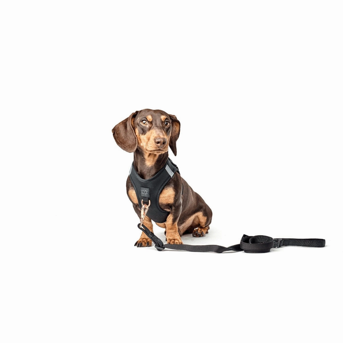SoHo Dog Harness Black