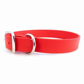 Sparky's Choice Buckle Dog Collar Red