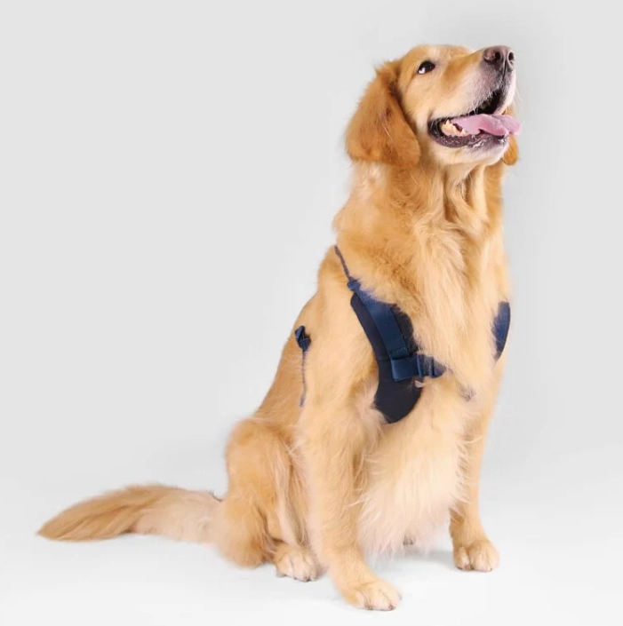 SPUTNIK - Harness - Blue