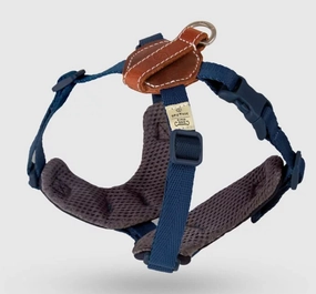 SPUTNIK - Harness - Blue