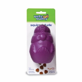 Squirrel Dude