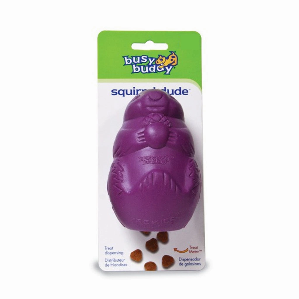 Squirrel Dude