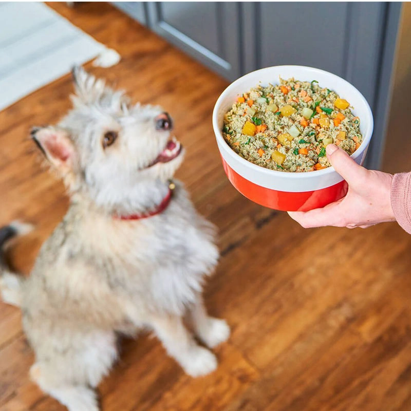 STELLA & CHEWY'S FreshMade Gently Cooked Gobblin' Good Meal for Dogs
