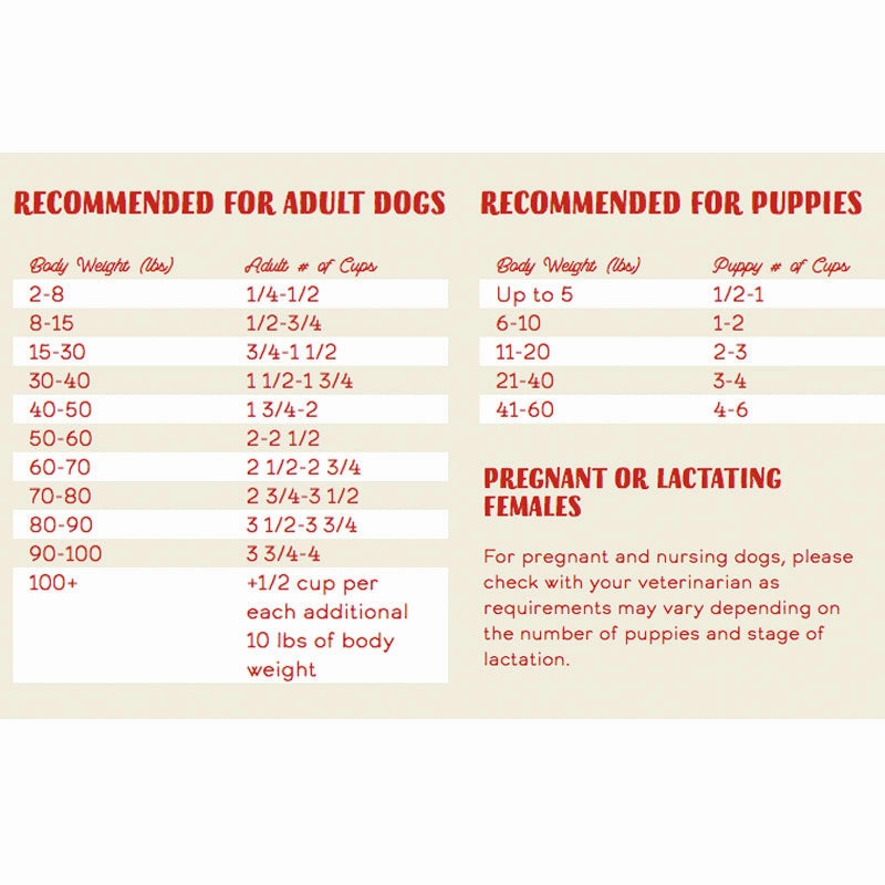 STELLA & CHEWY'S Raw Coated Kibble Beef Recipe with Grain for Dogs