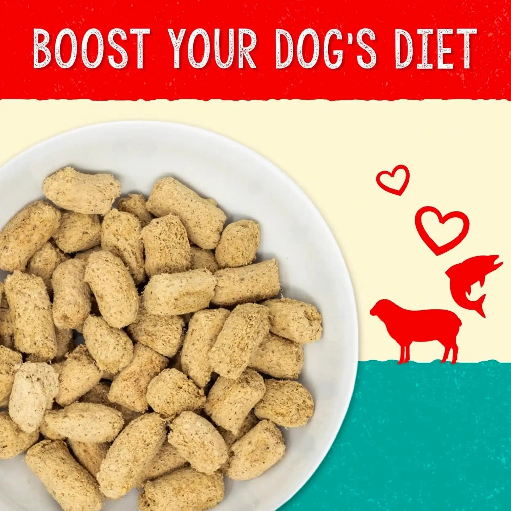 Stellas Solutions Skin & Coat Boost Grass-Fed Lamb & Wild-Caught Salmon Dinner Morsels for Dogs