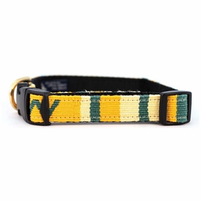 Sun Valley Day Side Release Dog Collar
