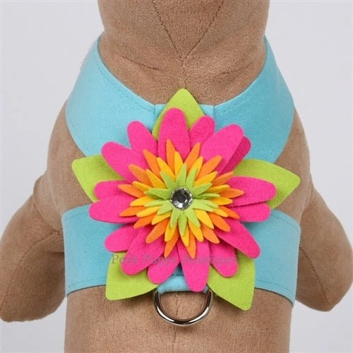 Susan Lanci Island Flower Collection Tinkie Harness-Many Colors