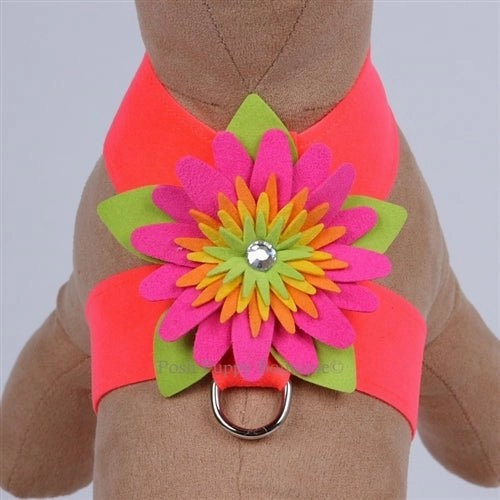 Susan Lanci Island Flower Collection Tinkie Harness-Many Colors