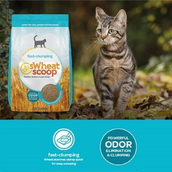 sWheat Scoop Original Fast Clumping Wheat Cat Litter