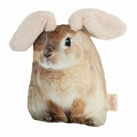 Territory Outdoor Adventure Floppy Rabbit Dog Toy