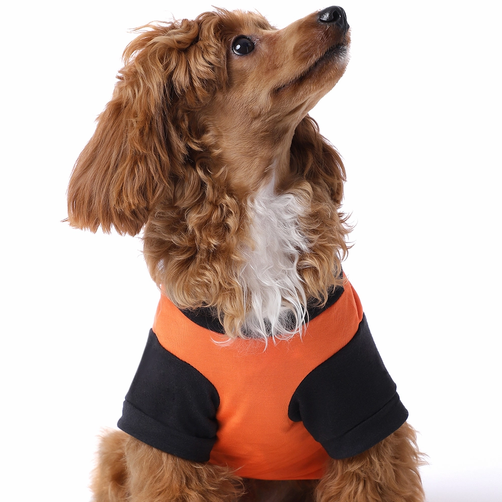 The Happy Lots Pet Halloween Tshirt for Dogs (Orange)