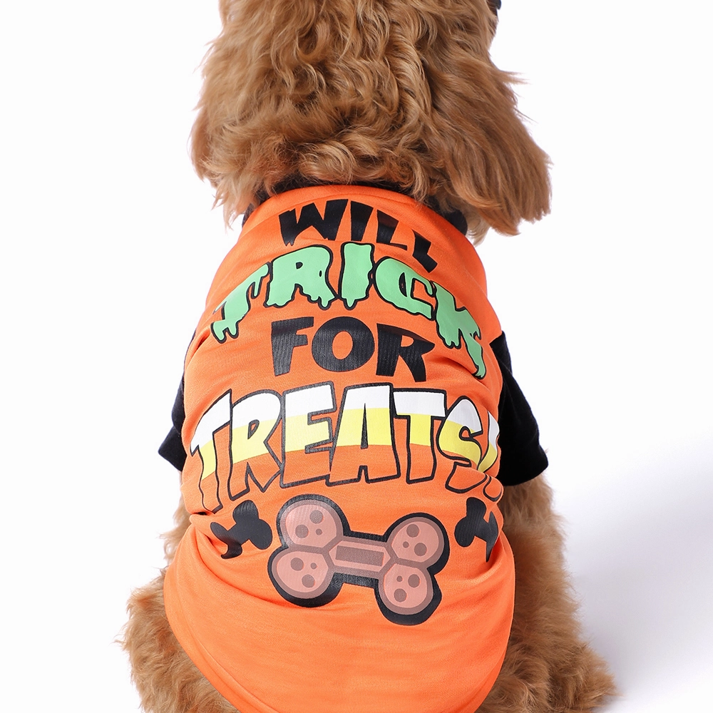 The Happy Lots Pet Halloween Tshirt for Dogs (Orange)