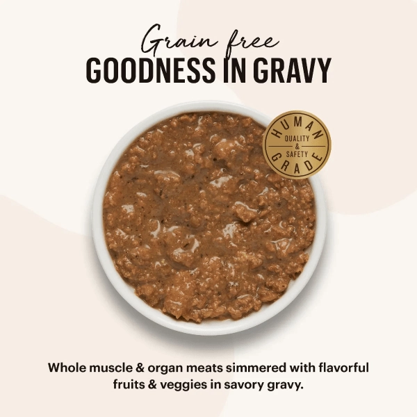 The Honest Kitchen Minced Grain Free Chicken Recipe Wet Cat Food (SPECIAL ORDER ITEM)