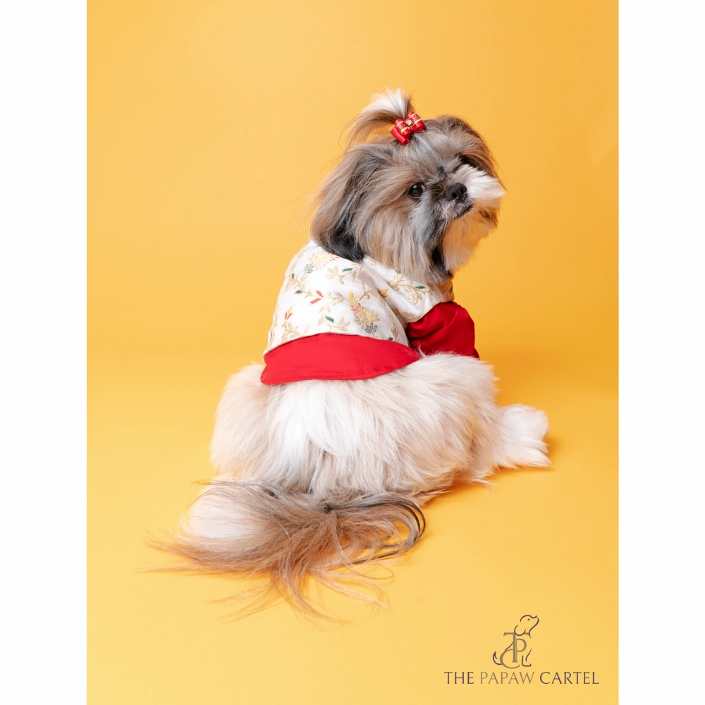 The Papaw Cartel Brocade Zari Koti With Gotapati Kurta For Dogs (White and Red)