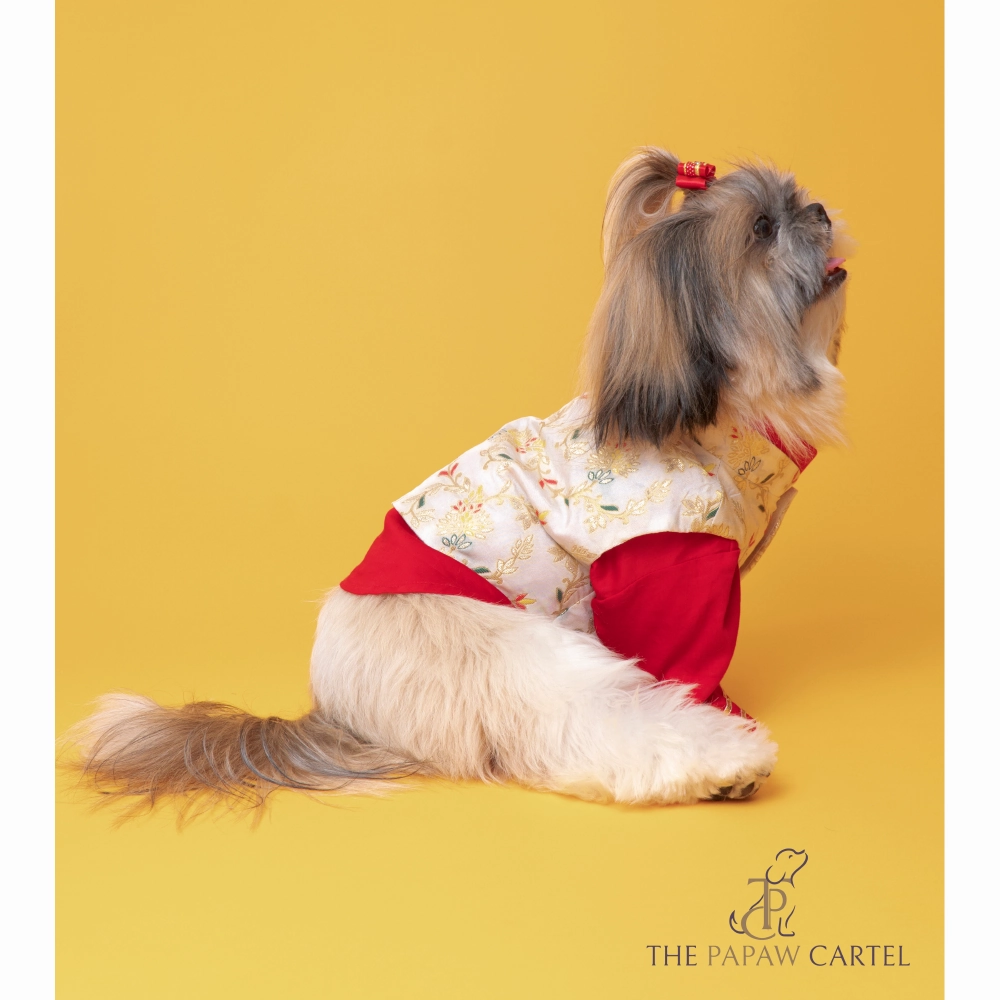 The Papaw Cartel Brocade Zari Koti With Gotapati Kurta For Dogs (White and Red)