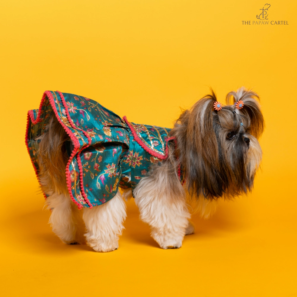The Papaw Cartel Dil Rooba Floral Ghagra Choli for Dogs (Teal)