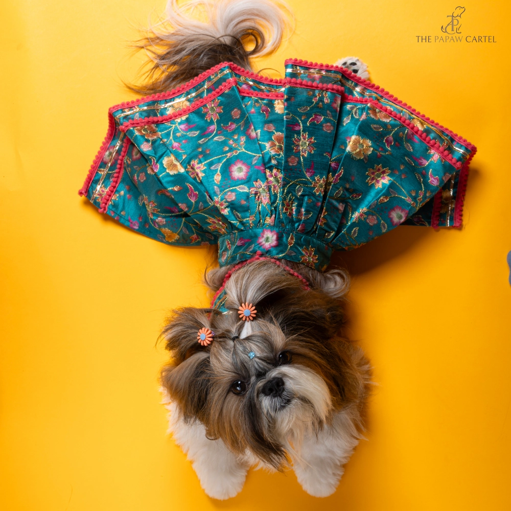 The Papaw Cartel Dil Rooba Floral Ghagra Choli for Dogs (Teal)