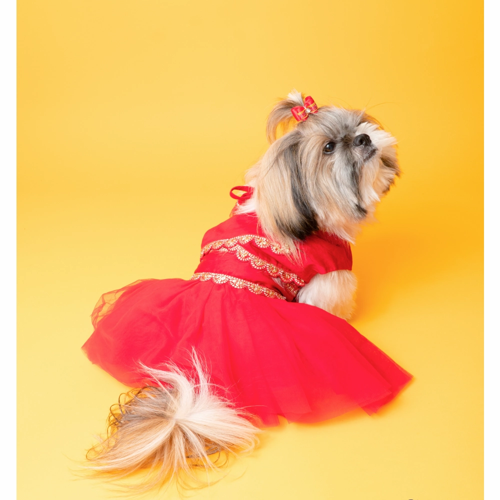 The Papaw Cartel Embellished Chanya Choli For Dogs (Red)