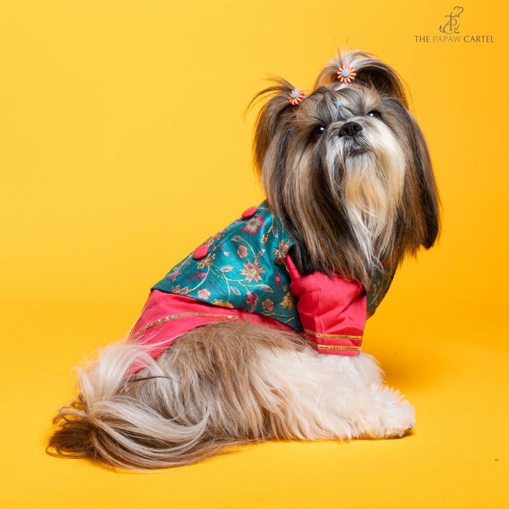 The Papaw Cartel Fuschia Kurta with Contrasting Floral Teal Koti for Dogs (Pink)