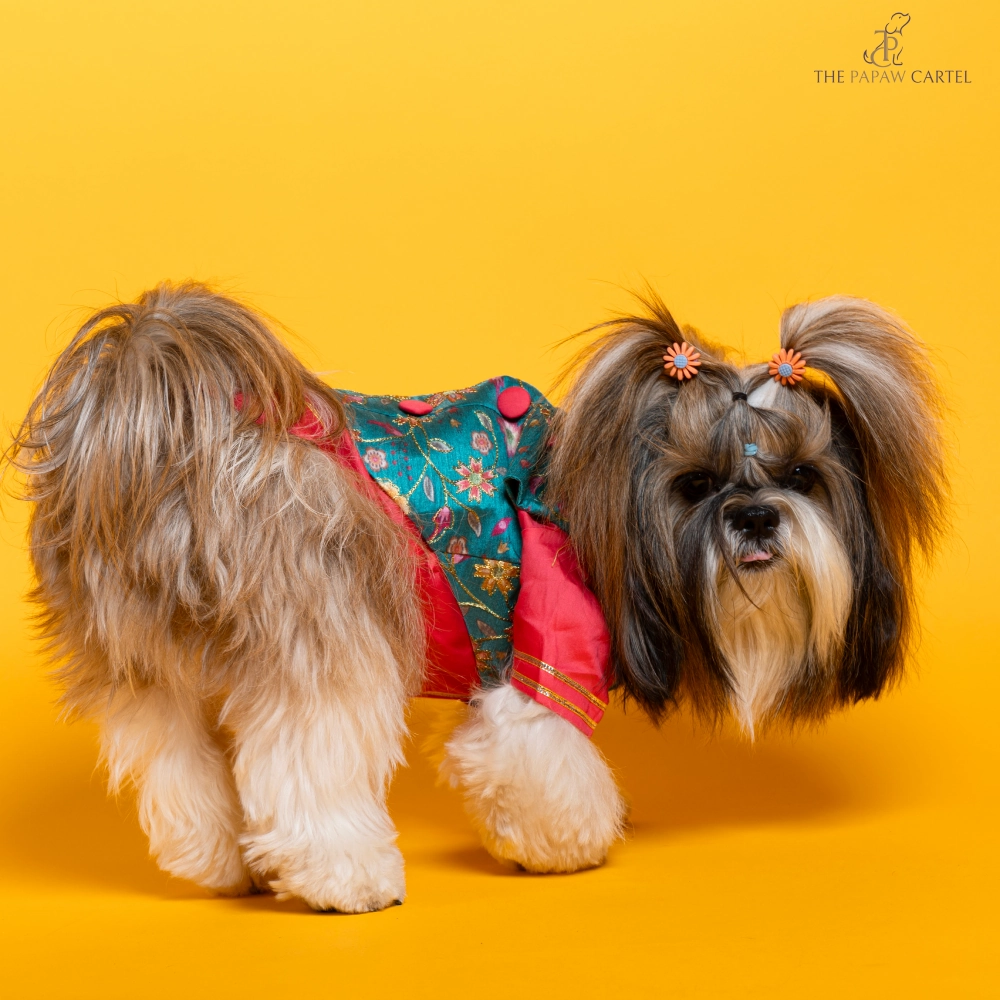 The Papaw Cartel Fuschia Kurta with Contrasting Floral Teal Koti for Dogs (Pink)
