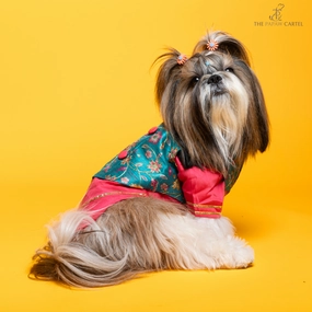 The Papaw Cartel Fuschia Kurta with Contrasting Floral Teal Koti for Dogs (Pink)