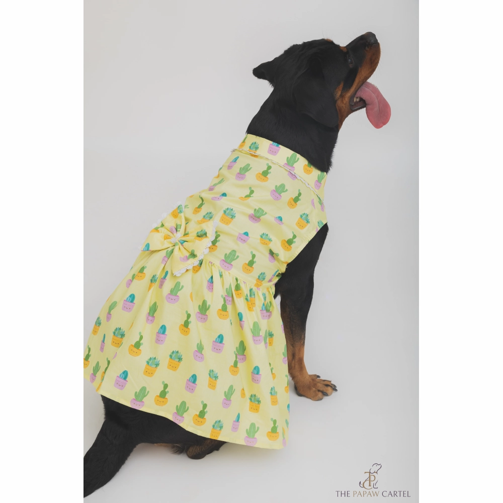 The Papaw Cartel Happy Cactus Dress for Dogs (Lime Yellow)