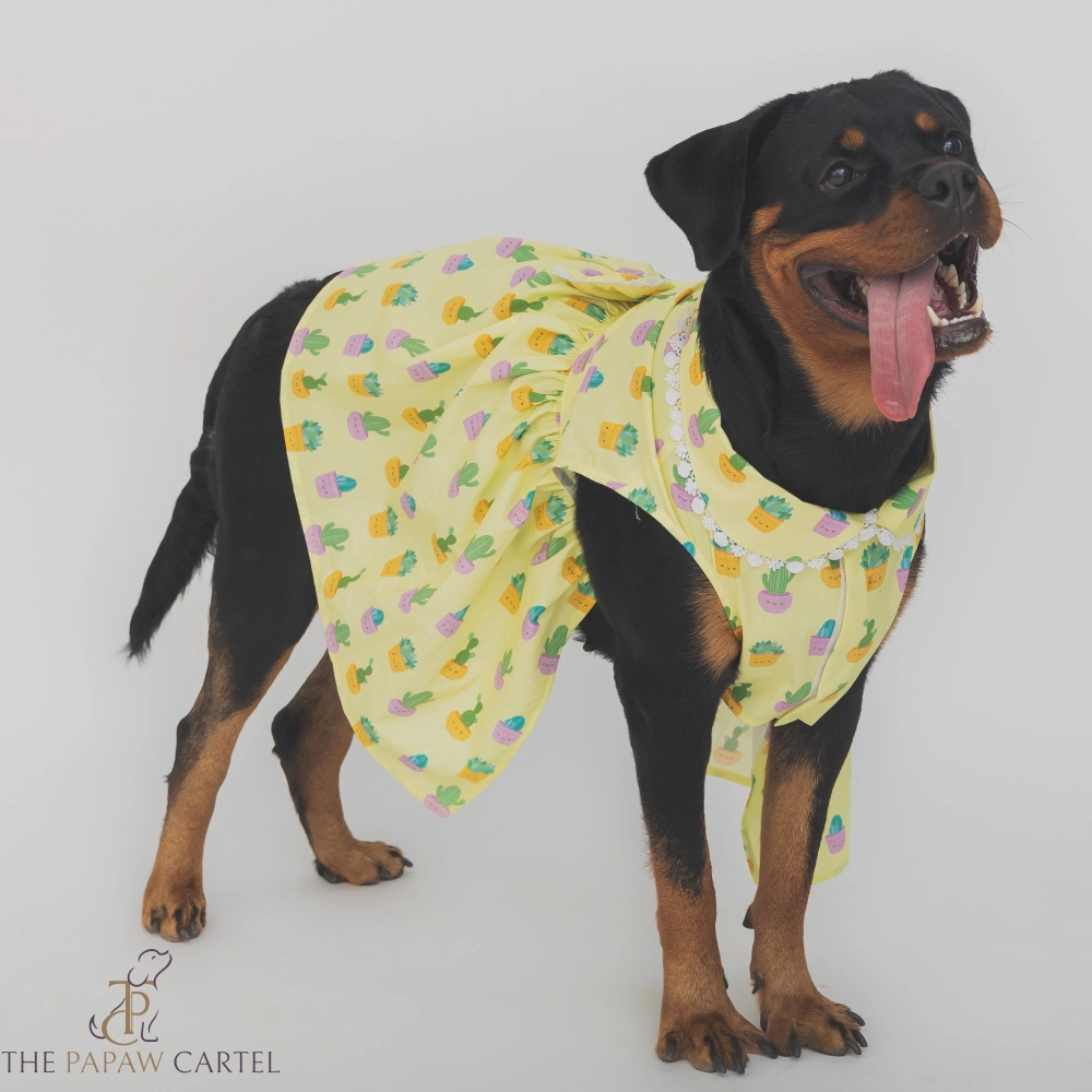 The Papaw Cartel Happy Cactus Dress for Dogs (Lime Yellow)