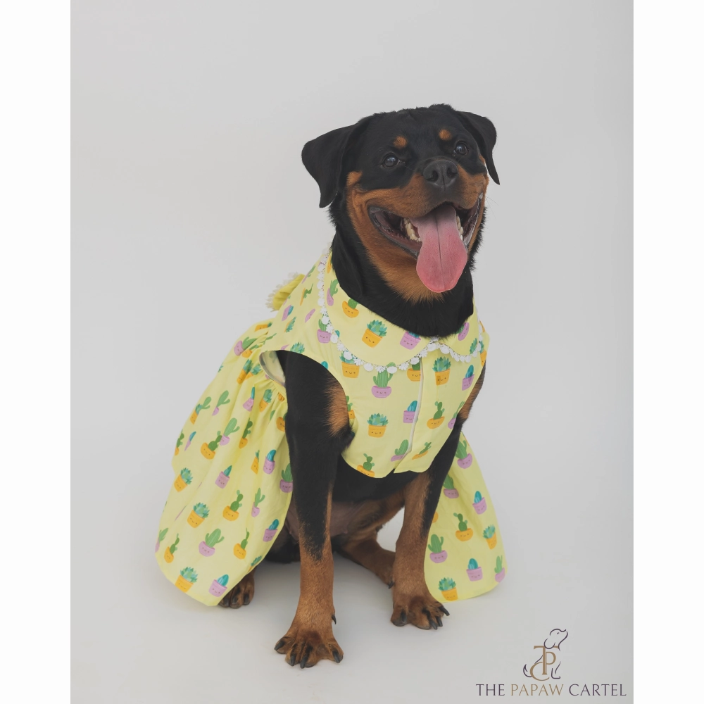 The Papaw Cartel Happy Cactus Dress for Dogs (Lime Yellow)