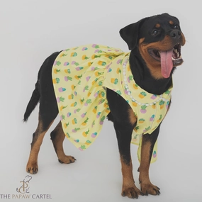 The Papaw Cartel Happy Cactus Dress for Dogs (Lime Yellow)