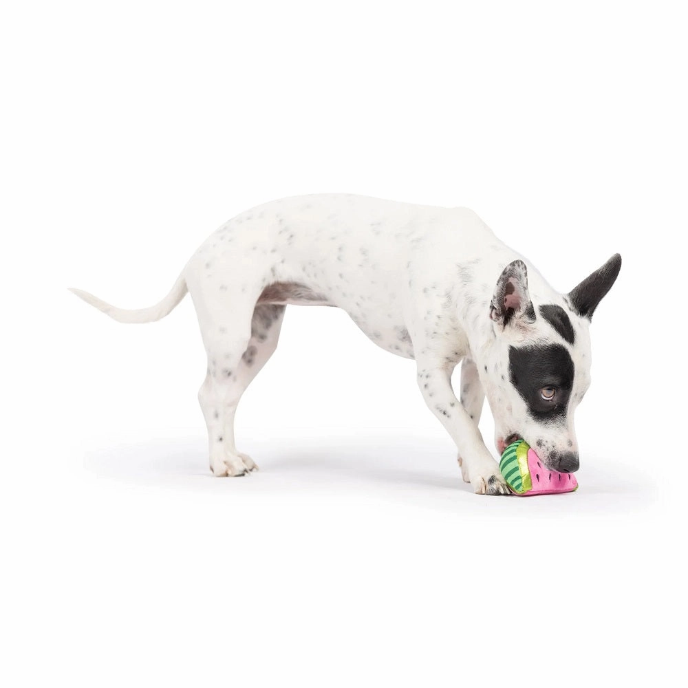 Tiny Tuff Walter Melon Dog Plush Toy