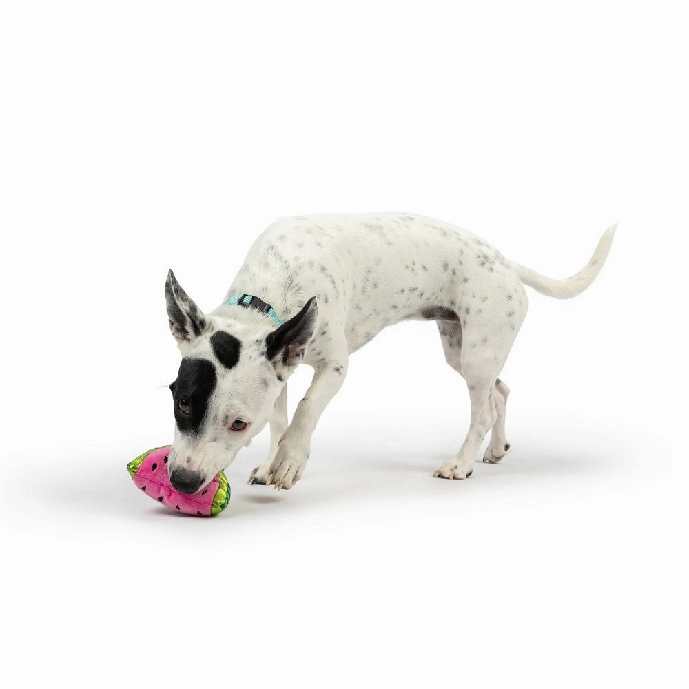 Tiny Tuff Walter Melon Dog Plush Toy