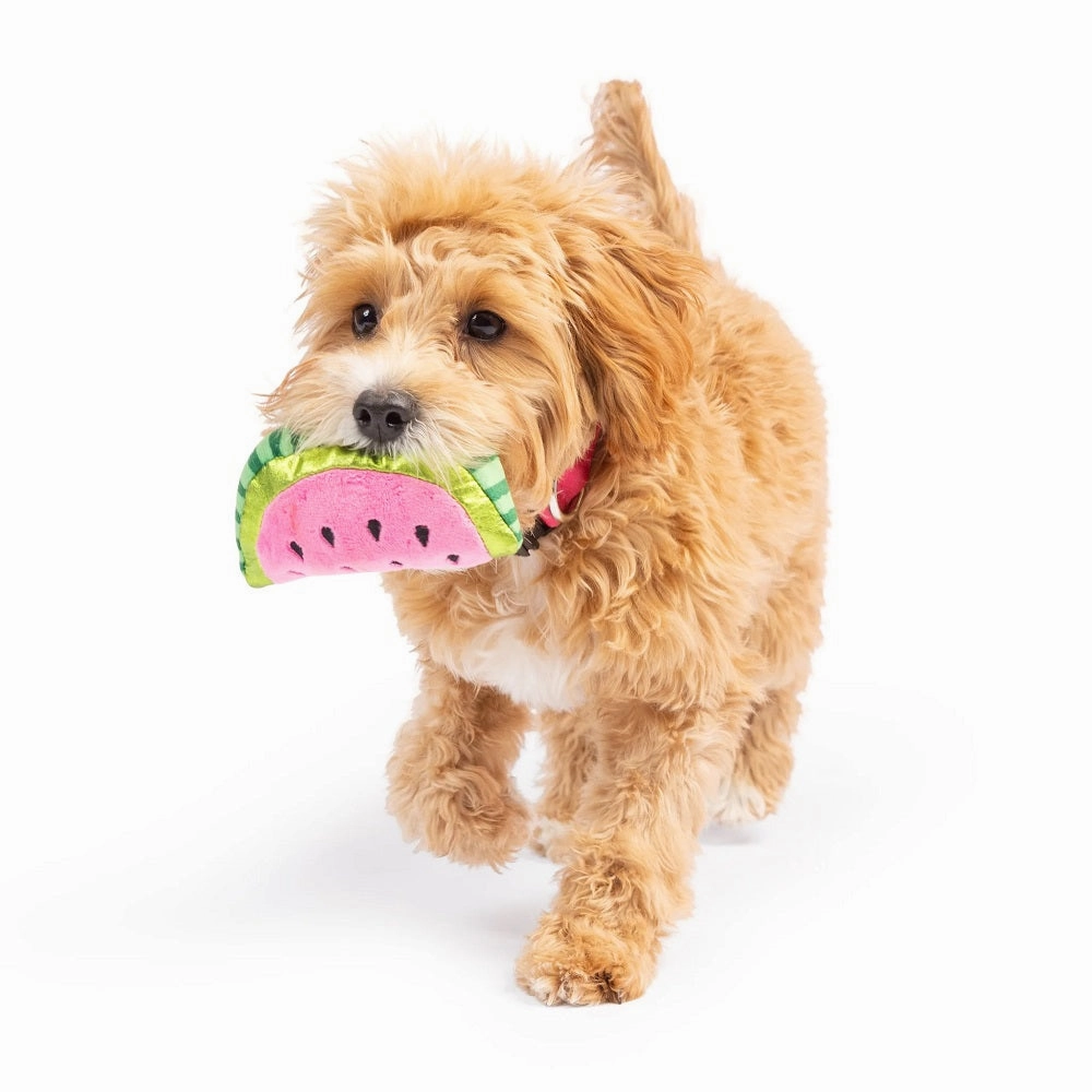Tiny Tuff Walter Melon Dog Plush Toy