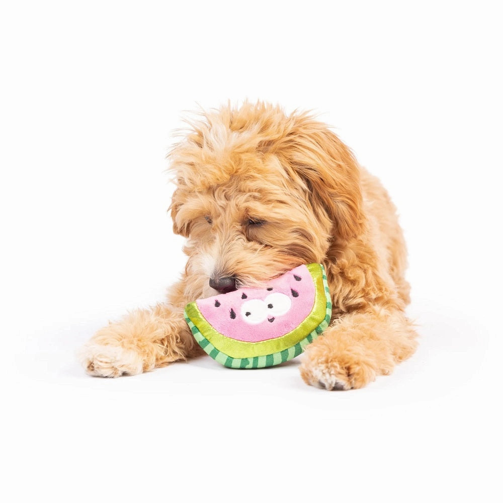 Tiny Tuff Walter Melon Dog Plush Toy