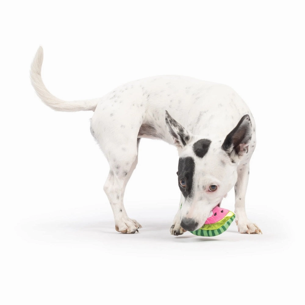 Tiny Tuff Walter Melon Dog Plush Toy