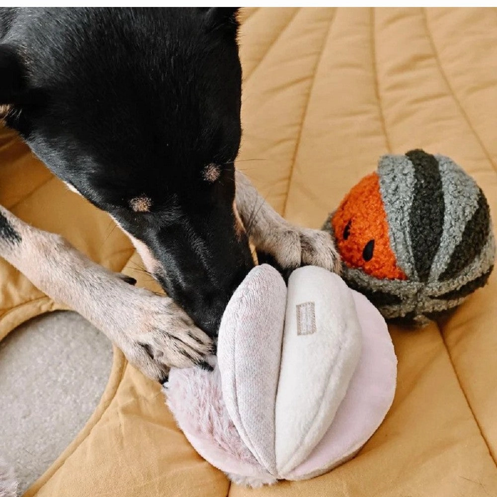 Toto Squeaky Snuffle Ball Dog Toy