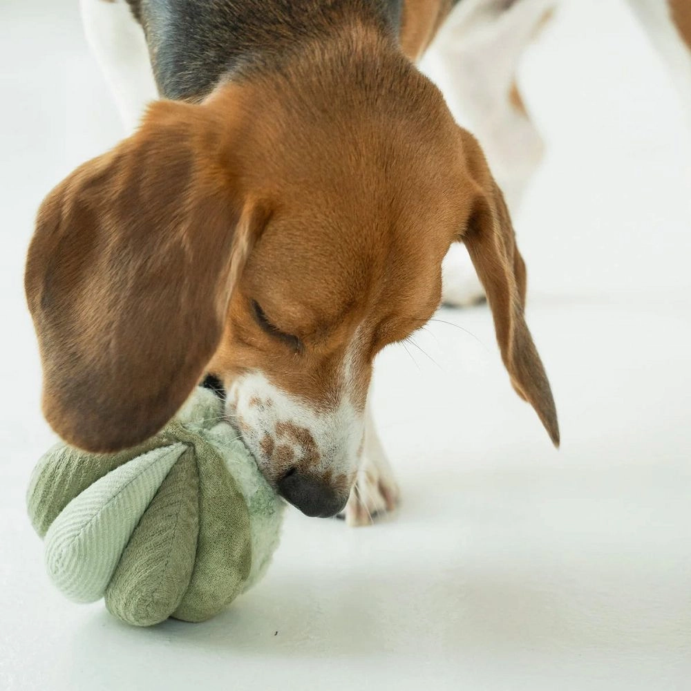 Toto Squeaky Snuffle Ball Dog Toy