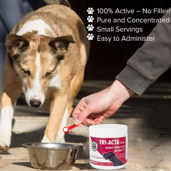 TRI-ACTA H.A. Maximum Strength Joint & Mobility Supplement for Pets