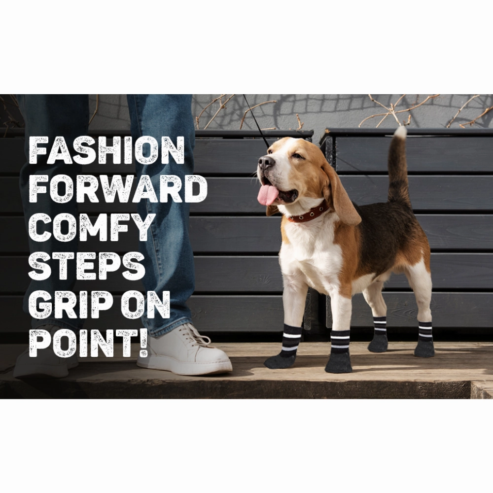 Trixie Non Slip with All Round Rubber Coated Socks for Dogs (Black, Set of 4)