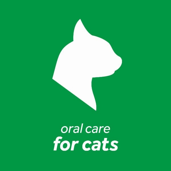 Tropiclean Fresh Breath Dental Health Solution for Cats