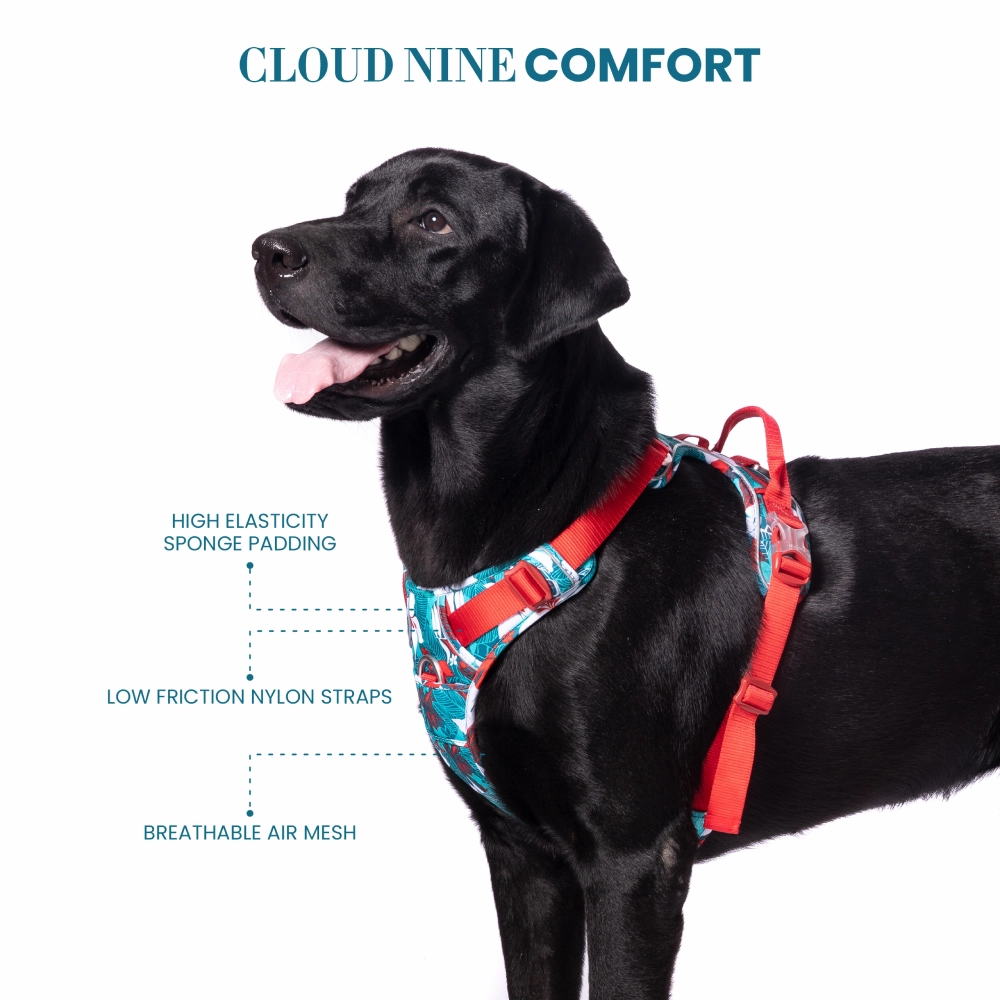 Truelove No Pull Special Edition with 3M Reflective Material Harness for Dogs (Camouflage blue)