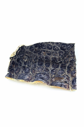 Tuesday's Natural Dog Co. Gator Dog Chews