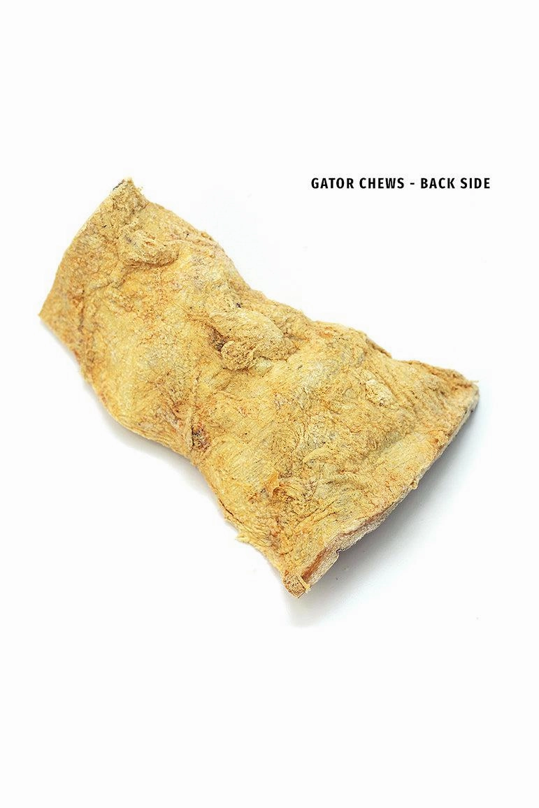 Tuesday's Natural Dog Co. Gator Dog Chews