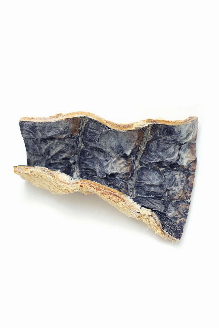 Tuesday's Natural Dog Co. Gator Dog Chews